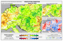 Dopady na vegetaci - Evropa - 9. srpen 2020