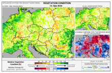 Dopady na vegetaci - Evropa - 13. říjen 2024