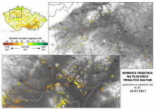 Vegetace trvalých kultur - 23. červenec 2017