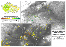 Vegetace trvalých kultur - 10. květen 2020