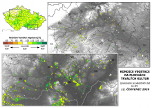 Vegetace trvalých kultur - 12. červenec 2020