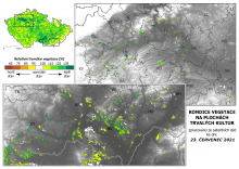 Vegetace trvalých kultur - 23. červenec 2021