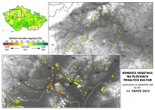 Vegetace trvalých kultur - 11. srpen 2024