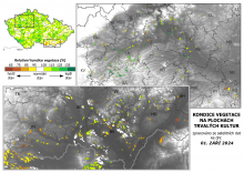 Vegetace trvalých kultur - 1. září 2024